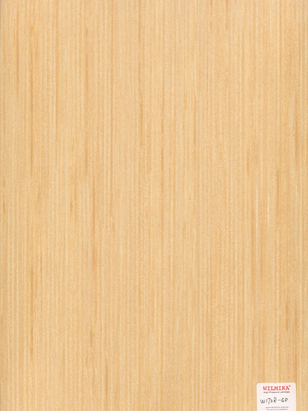 W1728-60