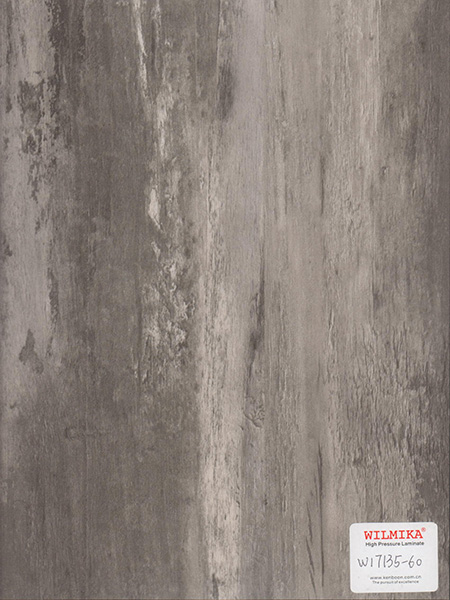 W17135-60