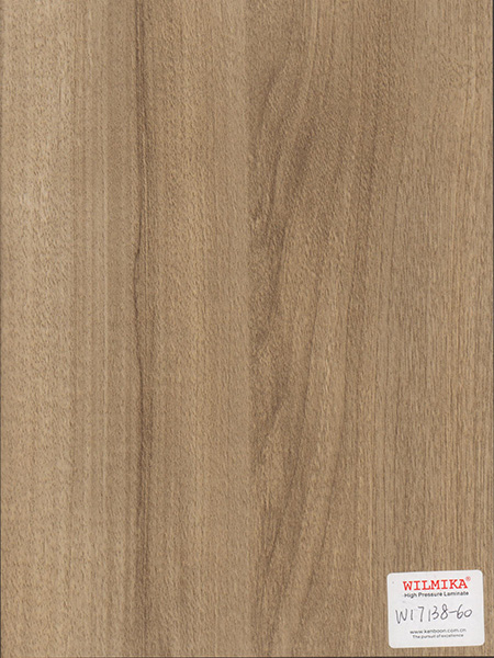 W17138-60