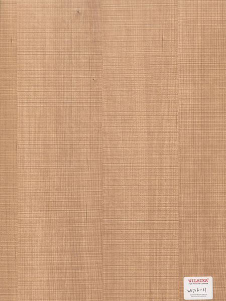 W1716-13