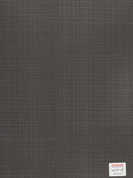 W1719-29