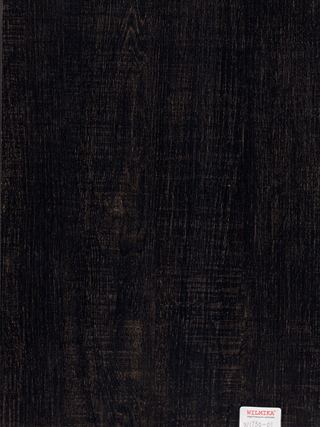 W1730-60