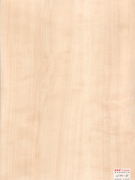 W17105-87