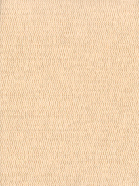W17118-60