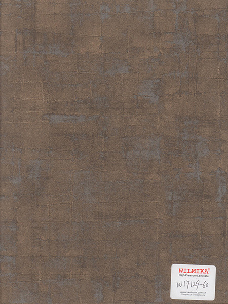 W17129-60