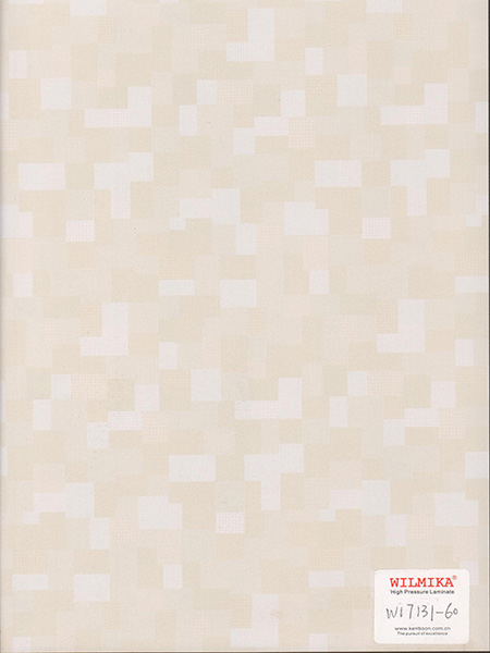 W17131-60