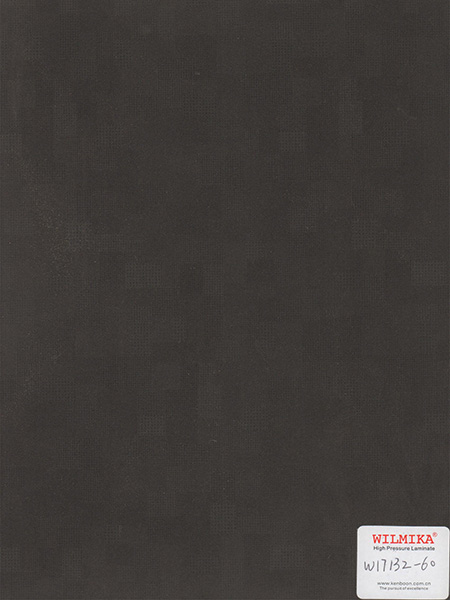 W17132-07