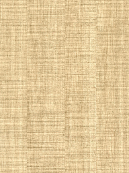 4006BW