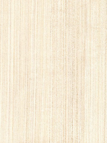 4213DM