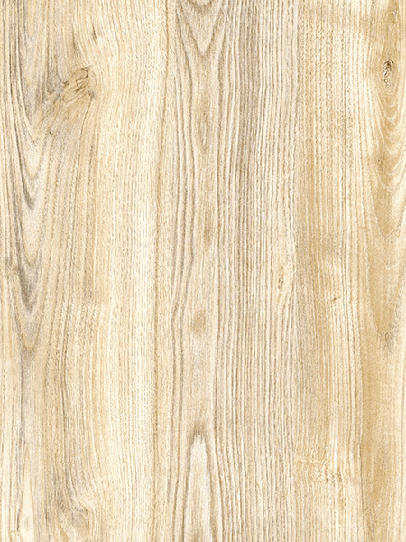 4284XM